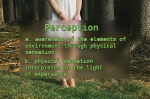 body perception definition